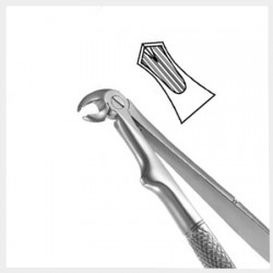 Extraction forceps pediatric